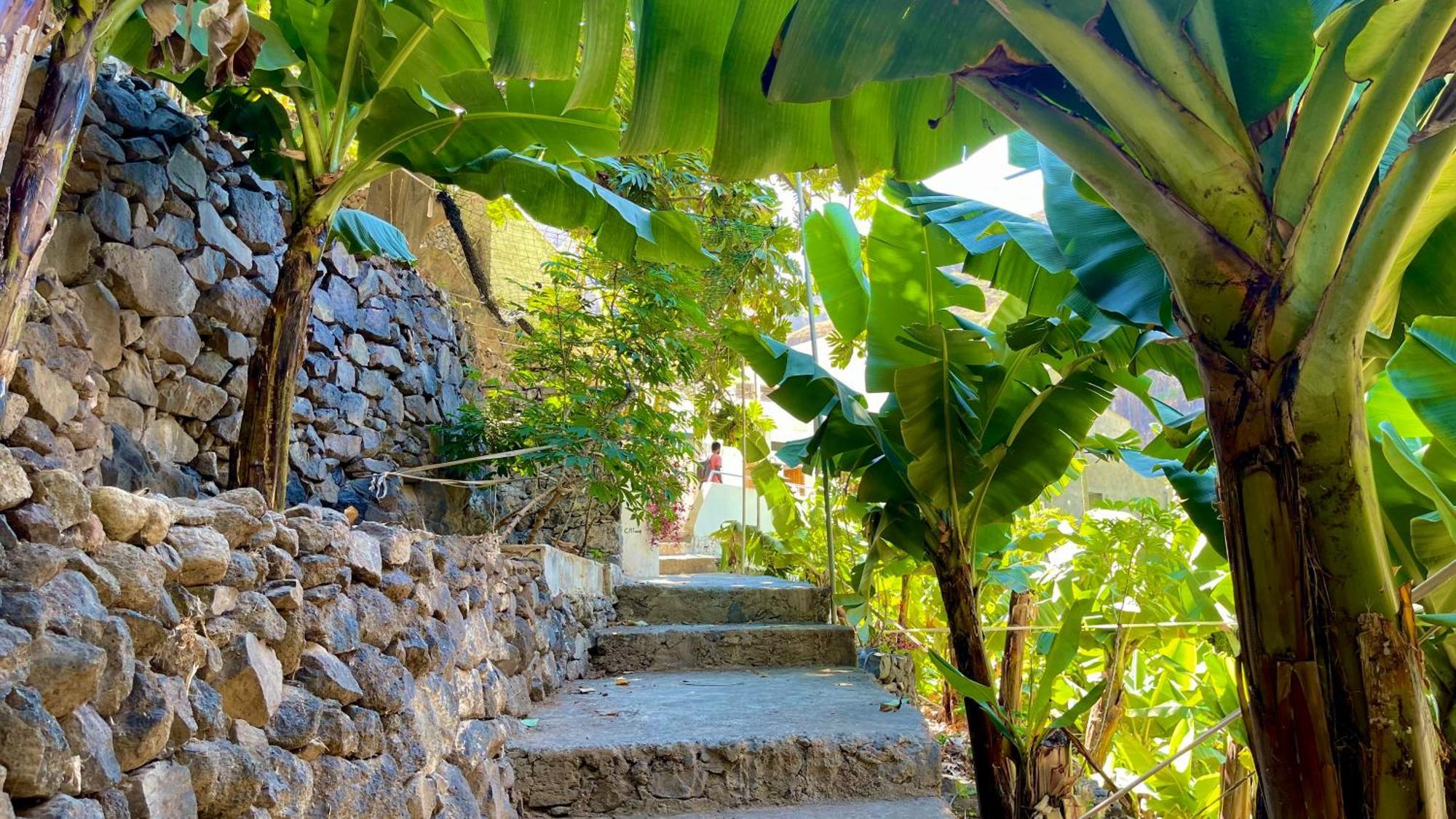Ribeira Grande Casa Minga & Tatolヴィラ エクステリア 写真
